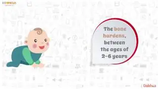 Amazing Facts About Human Body