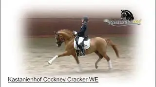 Kastanienhof Cockney Cracker WE 2019