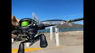 Pesca de ROBALOS y PARGOS con Mis Amigos Lupe Lofhis y Charly Rubi kraken