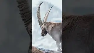 Du LOURD à venir !!!!