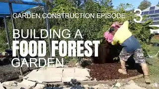 How to create a food forest garden: Sheet mulching