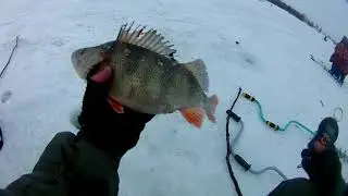 ШОК!!!ЭТОТ ОКУНЬ НЕ ЛЕЗЕТ В ЛУНКУ!!!Ловля окуня на балансир!