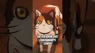 Did You Know That Chachamaru...