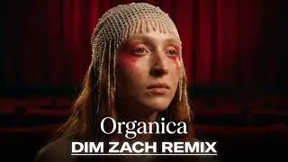 The Nomad Project - Organica (DIM ZACH Remix)