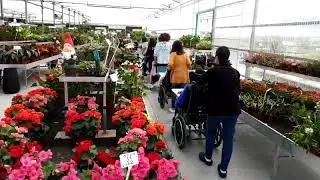 גישה לנכים משתלת ירוק ישראלי 03-7655555