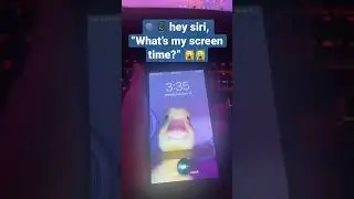 🗣📱 hey siri, “What’s my screen time?” 🙀🙀