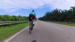 Chasing !