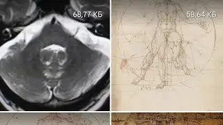 Демоны бесы. Слабонервным не смотреть. Спас целый.