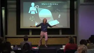 Brady Rae: 3-Minute Thesis Competition 2024 | University of Groningen