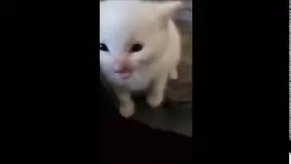 HI HERBERT 5, EL FINAL FINAL AHORA SÍ