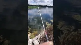 Fishing for Bluegill at Oakland Lake Park