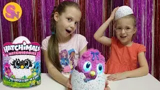 HATCHIBABIES Интерактивная игрушка дракончик Хетчималс Бейби Распаковка яйца Hatchimals / Сонюша Шоу