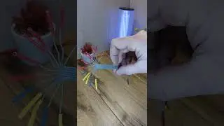 Самодельные соединительные провода для breadboard (беспаечной макетной платы) и Arduino.