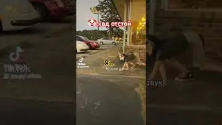 ВСЕ ВИДЕО ВЗЯТЫ ИЗ ТИК ТОКА И ОНИ НЕ МОИ!!