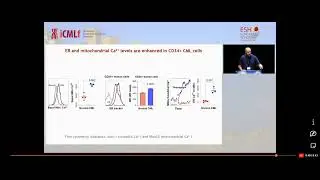 Selected talk at the 24th John Goldman CML conference, Oct 2022, France