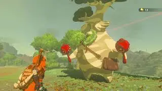 The Legend of Zelda: Breath of the Wild #59 - Stall des Waldes