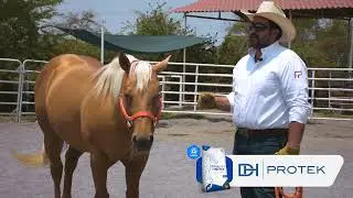 Historias que alimentan | Arena Los Palominos 🐴