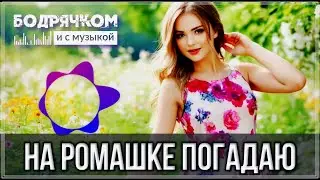 На Ромашке Погадаю - ШИКАРНЫЙ ТРЕК #Бодрячком