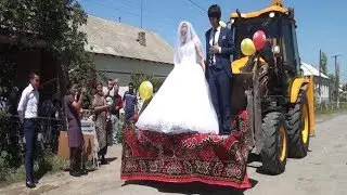 Сирдарёда келин-куёв Тракторда ЗАГСга борди.