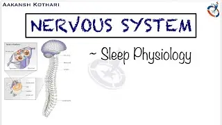 Sleep Physiology | Nervous System Physiology by Aakansh Kothari