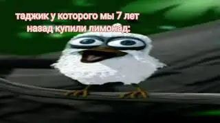 птица таджик орёт!!!(это должнобыть смешно!!!!СМЕЙТЕСЬ)