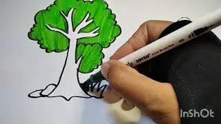 How to draw and coloring tree