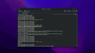 How to install Waydroid on ArchLinux and install applications?