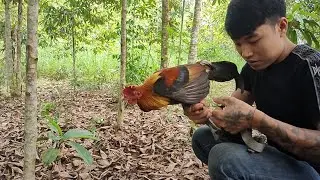 đi bẫy gà rừng bằng bẫy giò mới nhất.@TAM MT