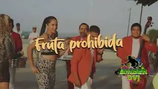 Paseitos bailables  2024  #4 Limber dvj.