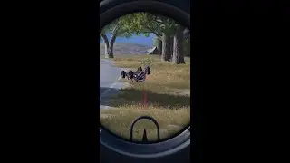 Mithrain Şanssızlığı PUBG Tarihinin En Şanssız Anlarından Biri! | Sonuna Kadar İzle 