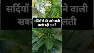 Sardiyon me aksar ki jane wali galati 