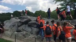 5. Orientation a New York City 2016/2017 (Youabroad & CIEE) || LORENZO BERNARDI