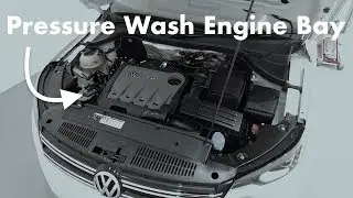 ENGINE BAY CLEANING at Home