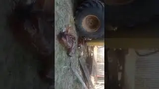сколько выдержит кега из под пива?