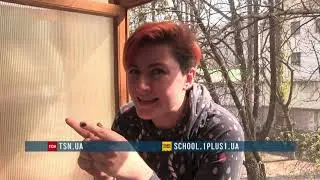 Робота журналіста під час карантину