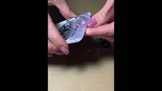 Аниме Бейдж