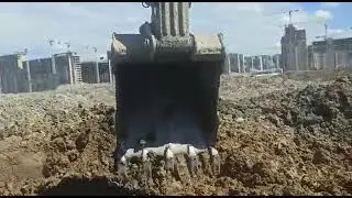 работа на. плотах