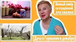 Дача в Германии в декабре || Рецепт яичного ликёра со сгущёнкой