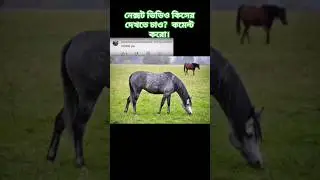 2024 horse and 5000bce horse || Past animals ||#shorts #Trend #trend #new #evolution #animal #today