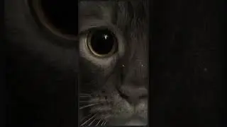 Нехорошая квартира-Страшные истории на ночь