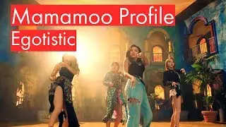 Mamamoo Profile | 