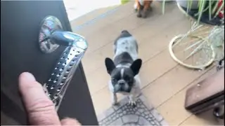 Никогда не говори никогда…