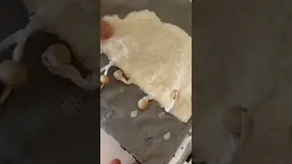 #занятиясдетьми #развитиеребенка