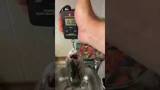 Իշխանի ձկնորսություն:)