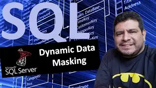 Dynamic Data Masking