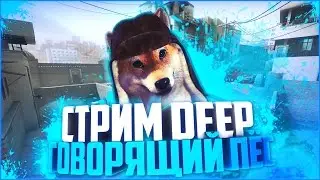 🔴СТРИМ CS:GO DEEP ГОВОРЯЩИЙ ПЁС ИГРАЕМ В ММ 