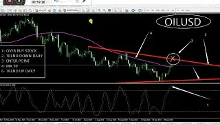 FOREX TRADING LIVE OILUSD