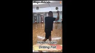 How to Train Yiquan Drilling Fist / 意拳鑽拳 #martialarts #kungfu #yiquan