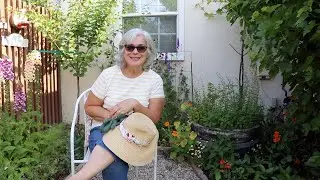 Garden Tour | Perennial Bed | Cottage Garden