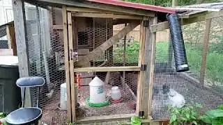 Home On The Range - Cowboy Songs For Chickens!